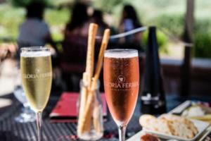 1998年世界杯足球赛开赛时间及赛程安排98年世界杯什么时候开始