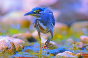 2022年卡塔尔世界杯预选赛中国赛时间安排及看点解析世界杯预选赛中国比赛时间