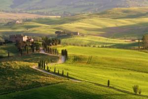 1998年世界杯足球赛开赛时间及赛程安排98年世界杯什么时候开始